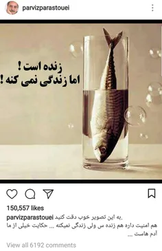 پست اینستاگرامی قابل تامل پرویز پرستویی👌 👌