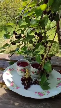 سلاام دوستان صبحتون بخیر🩷