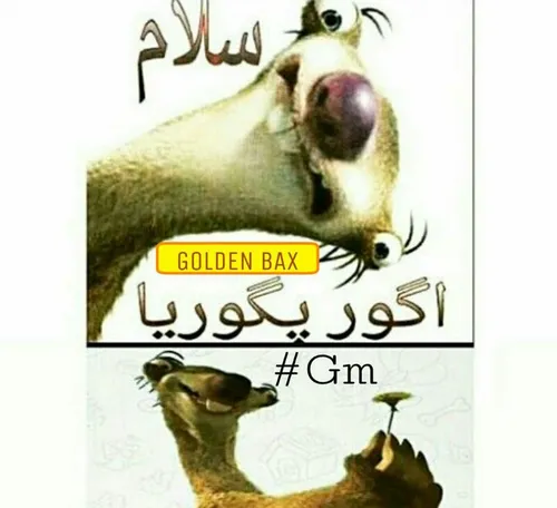 سلام صبح تون بخیر شادی