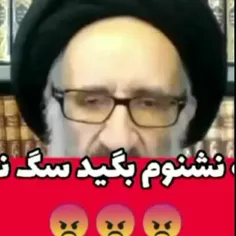 نظر عجیب درباره نجاست سگ