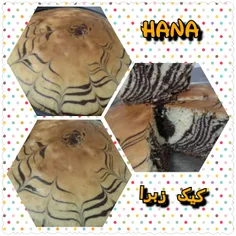 خوراکی youhanna 9170484