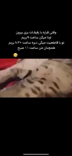 حققق😂😂😂