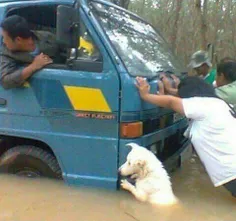 من عاشق اون حسشم 🐶 😍