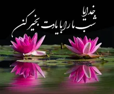 شب بخیر  🌹🌹🌹