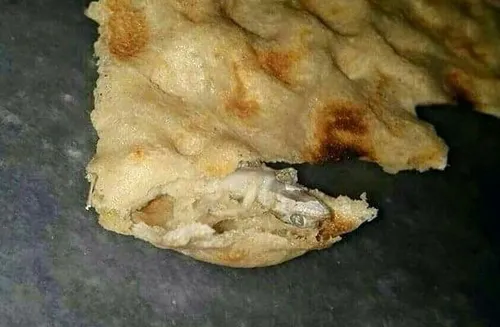 مارمولک در نان سنگگ