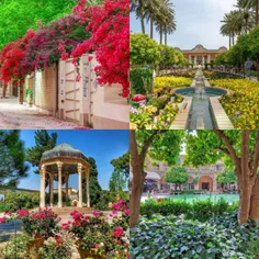 شیراز تو بهار یکی از زیباترین شهرای ایرانه