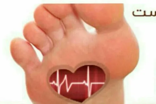 چرا پا را قلب دوم می نامندقلب خون را در بدن پمپاژ می کند 