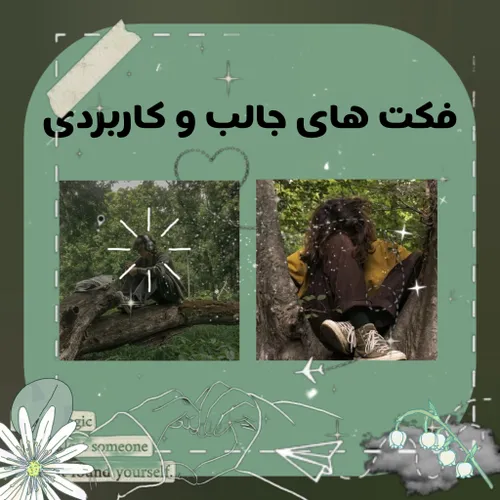 گل افتاب گردون من اگه خوب بود بلایک🫠🌱☘