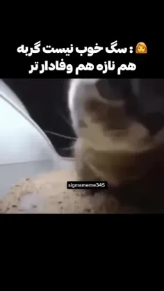 برسونمت خوشگله......