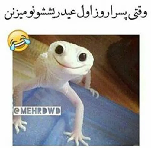 خخخخخخخخخخخ