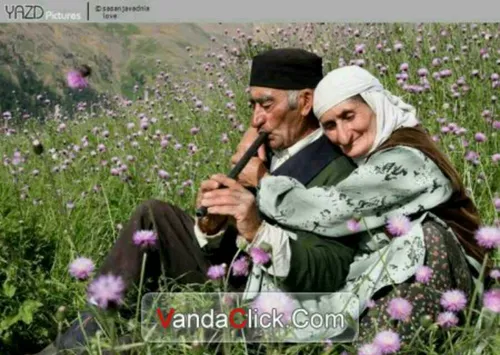 عشق پیر و جوان نمی شناسد.