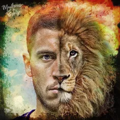 #Real_lion 😍 💙