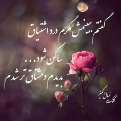 شعر