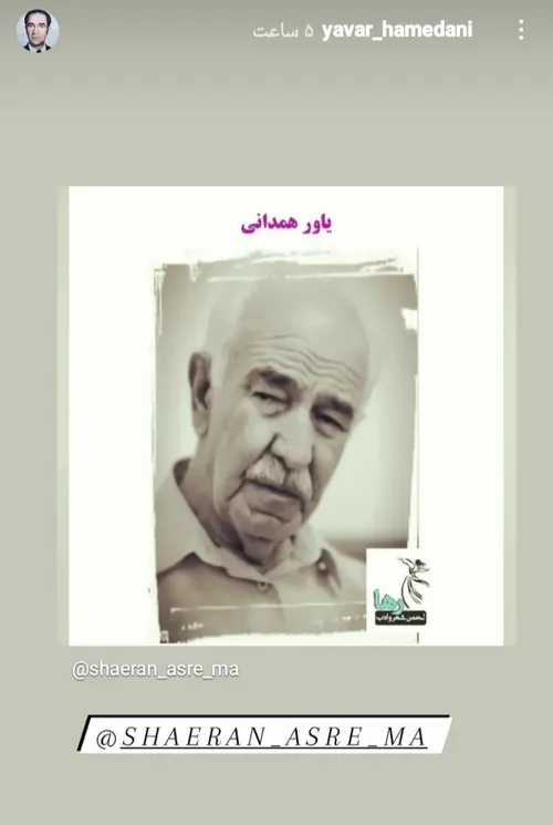 سعید فلاحی