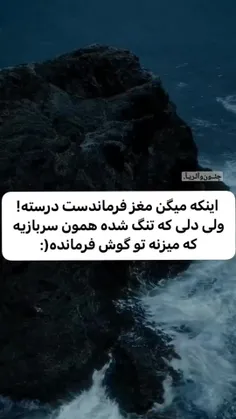 اینکه میگن مغز ...