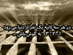 «مولی امیرالمؤمنین علیه‌السلام»: