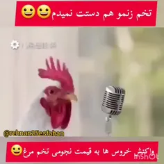 هههههههه