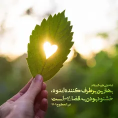 💠امام علی علیه السلام: 