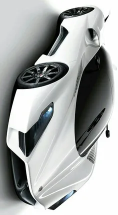 #SSC_Tuatara