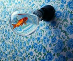 ماهی تنها...👌❤🍀



