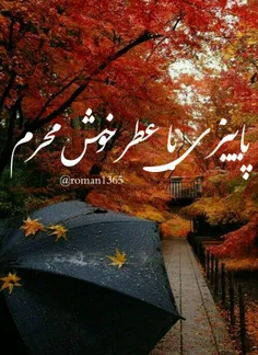 چقدر زود همه چیز