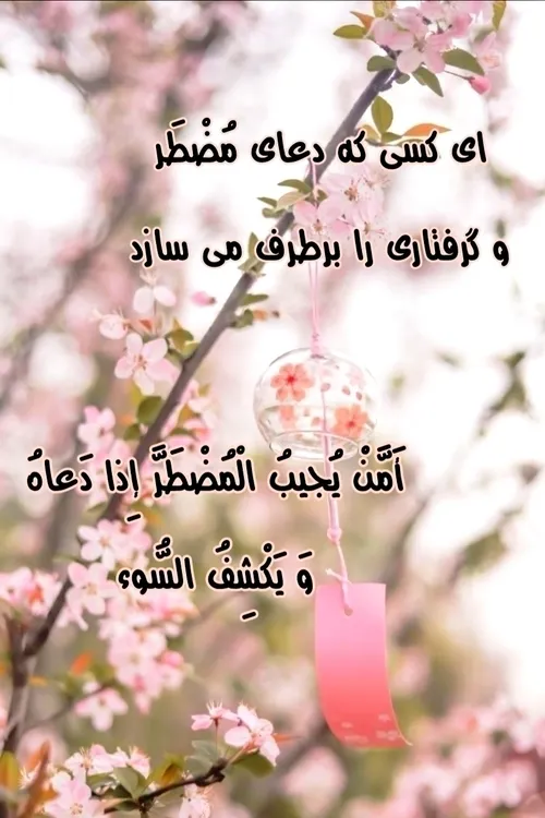 بهارانه🌼🌱