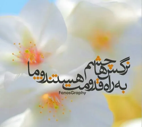 مذهبی yazanab 24490549 - عکس ویسگون