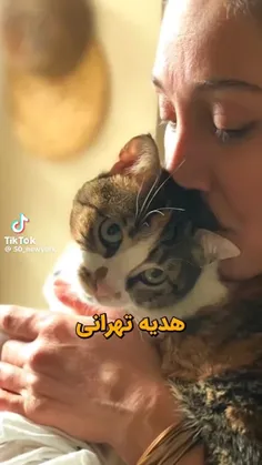 درباره هدیه تهرانی بازیگر