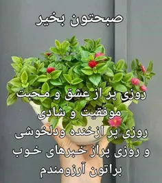 🍃🌼چشم گشودن در