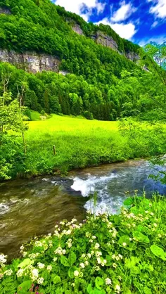 صدای روح نواز طبیعت