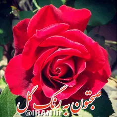 🌺ســلام دوست عزیزم