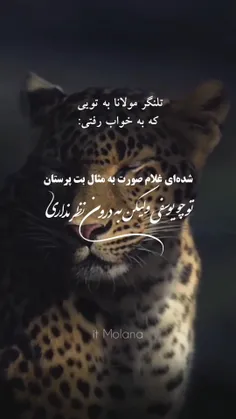 شده ای غلام صورت