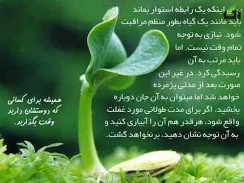 برای اینکه یک رابطه استوار بماند...