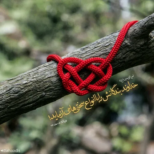 💠 دلایل امتحان الهی 🌸