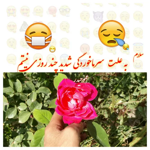 سلام دوستان گلم تا اطلاع ثانوی نیستم