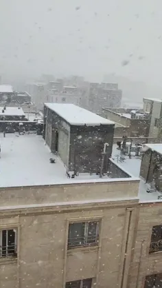 بارش شدید برف هم اکنون تهران ❄️