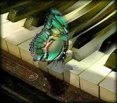 زندگی مثل پیانو میمونه