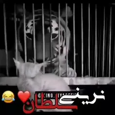 نرینی سلطان ❤️😂
حتم ببینید اگه خوشتون اومد لایک کنید