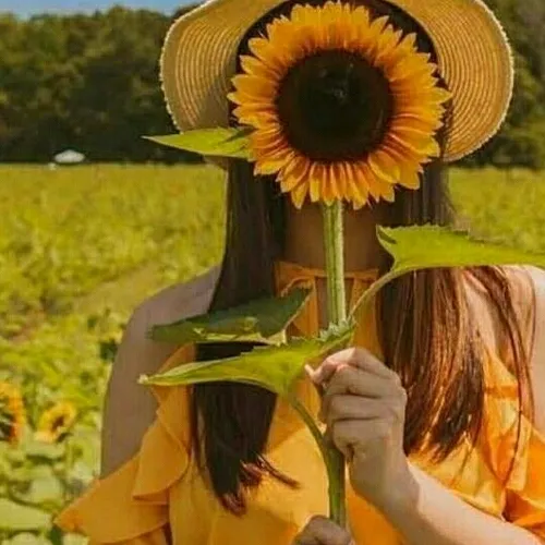 🌻