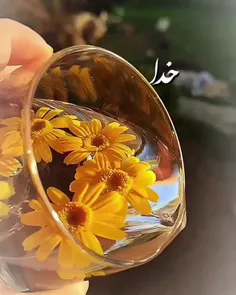 سلام صبح بخیر 😍