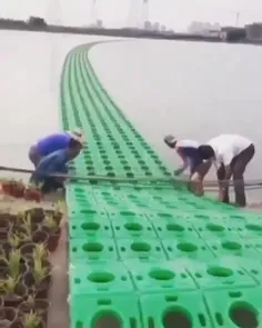 پیج شگفت انگیز ویسگون 