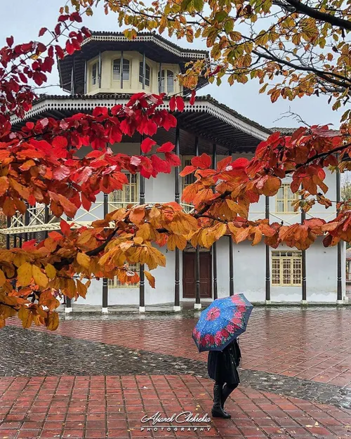 گیلان رشت پاییز🍁❤☔