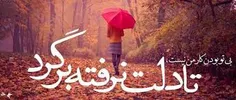 گوناگون narges.tanhayy 16384777