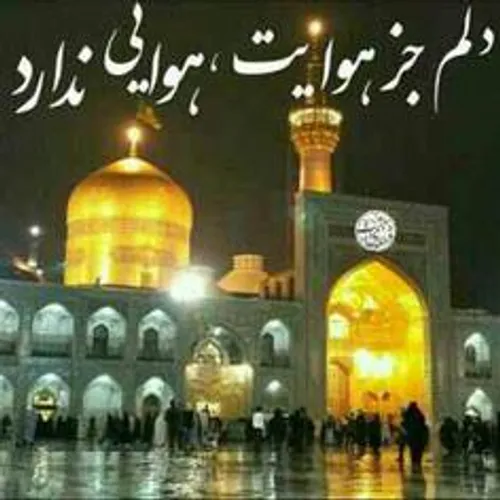 یا امام رضا ع