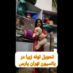 ​😮​ به « https://www.instagram.com/petshop_belfi