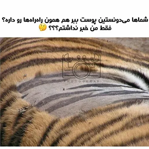 شما میدونستید 😮 😮