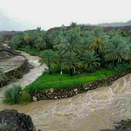 سرباز❤