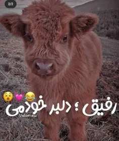 عنترجانم فالوشه 