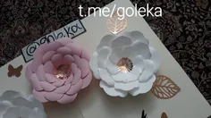 t.me/goleka 09052171300