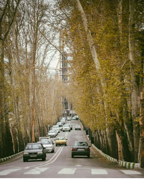 عکس پاییزی از تهران